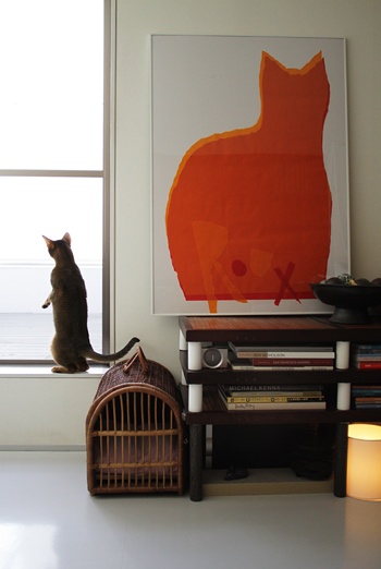 Cuadros De Gatos