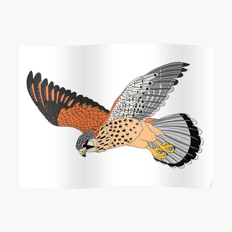 Posters De Cernicalos Amazon