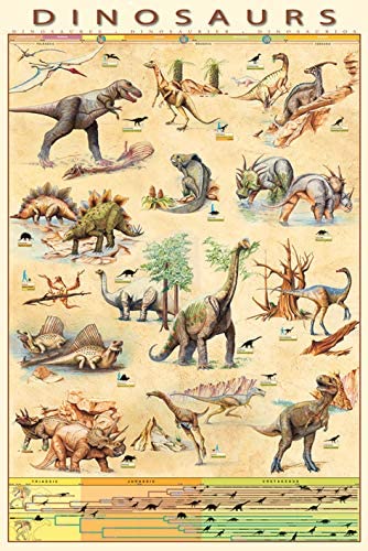 Posters De Dinosaurio Amazon