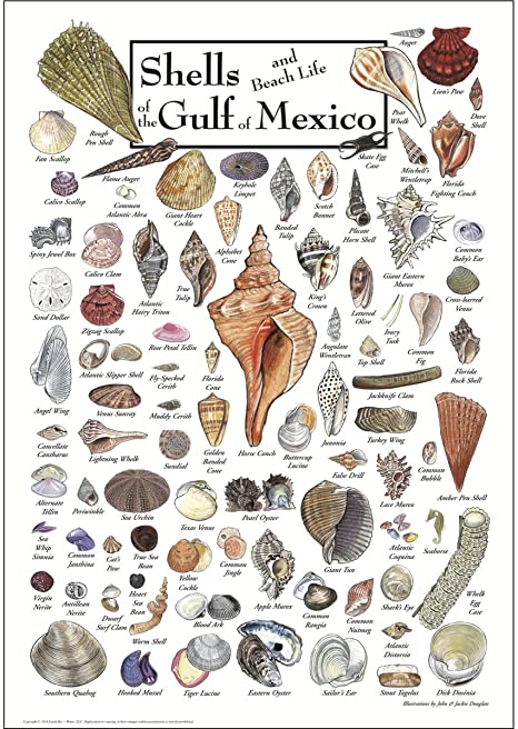 Posters De Golfo Amazon