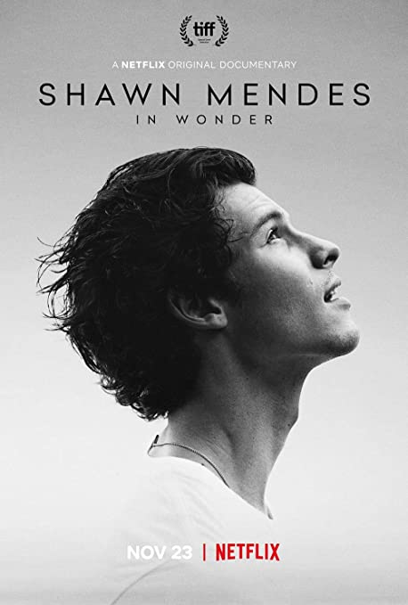 Posters De Shawn Mendes Amazon