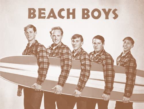 Posters De The Beach Boys Amazon