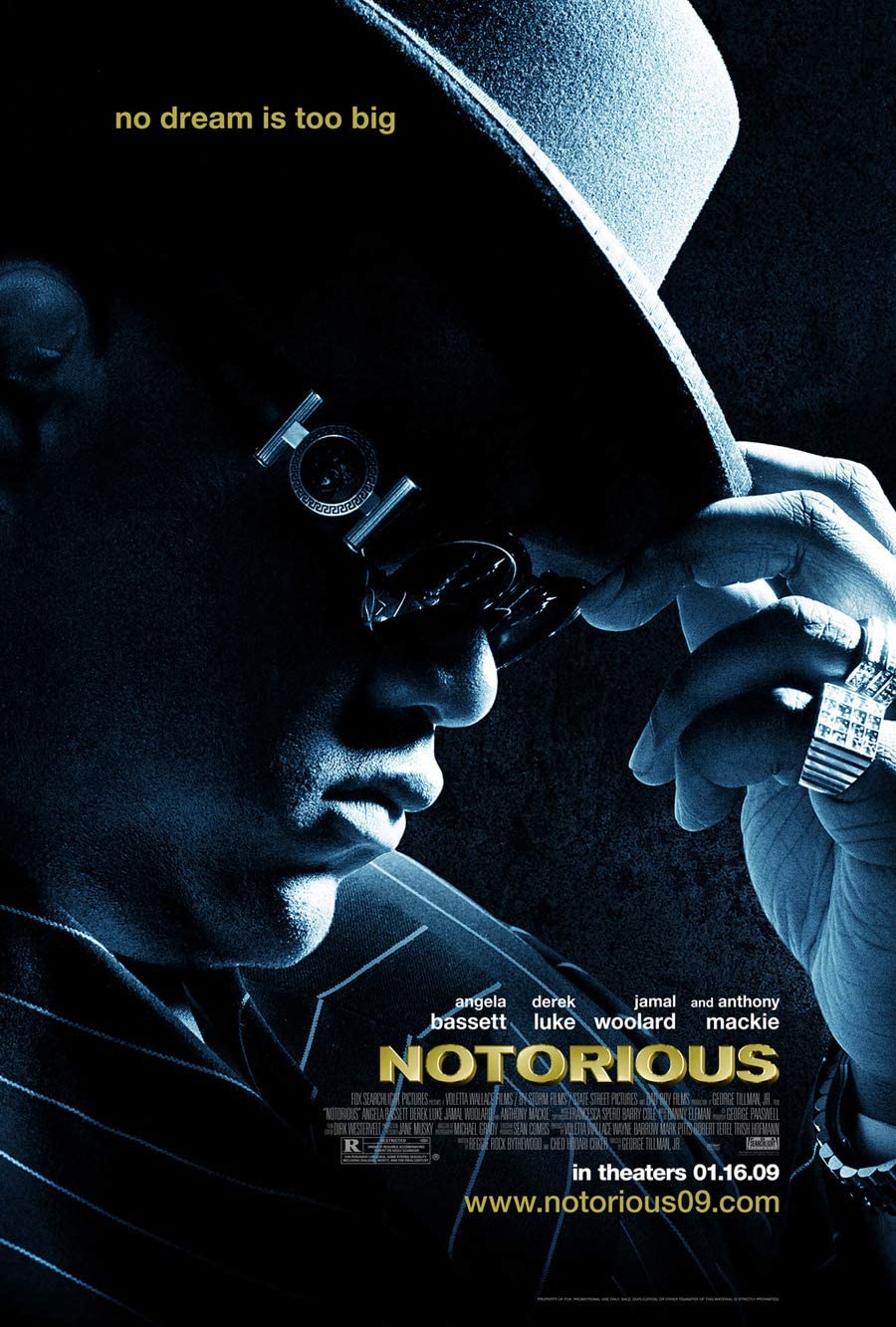 Posters De The Notorious Amazon